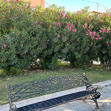 Del Angel Alicante