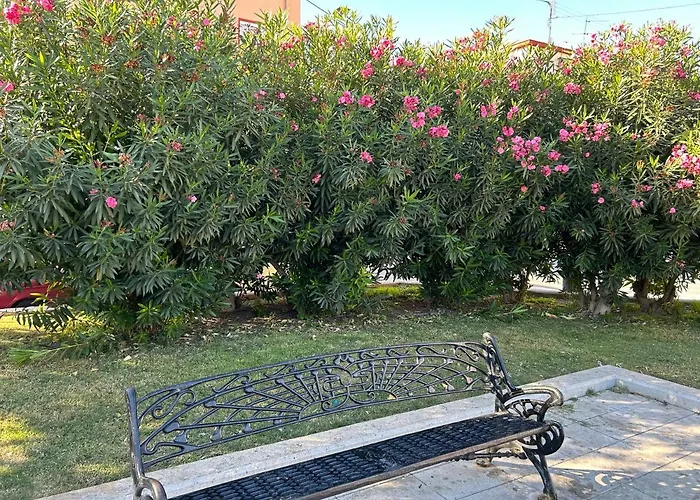 Del Angel Alicante